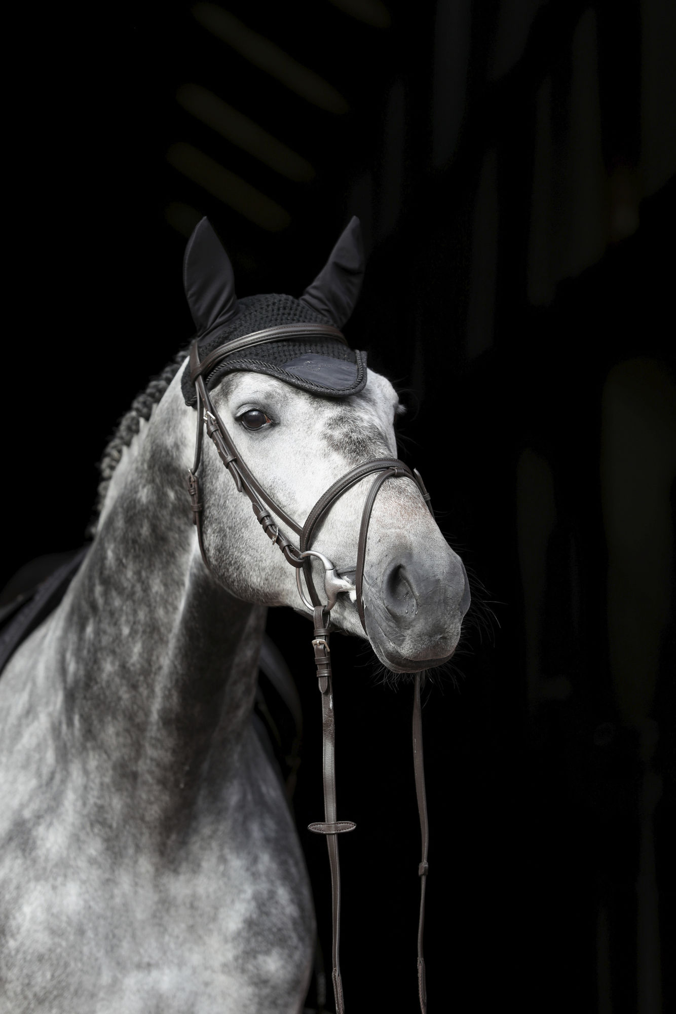 Covalliero Fliegenhaube Empara, Cob/Full