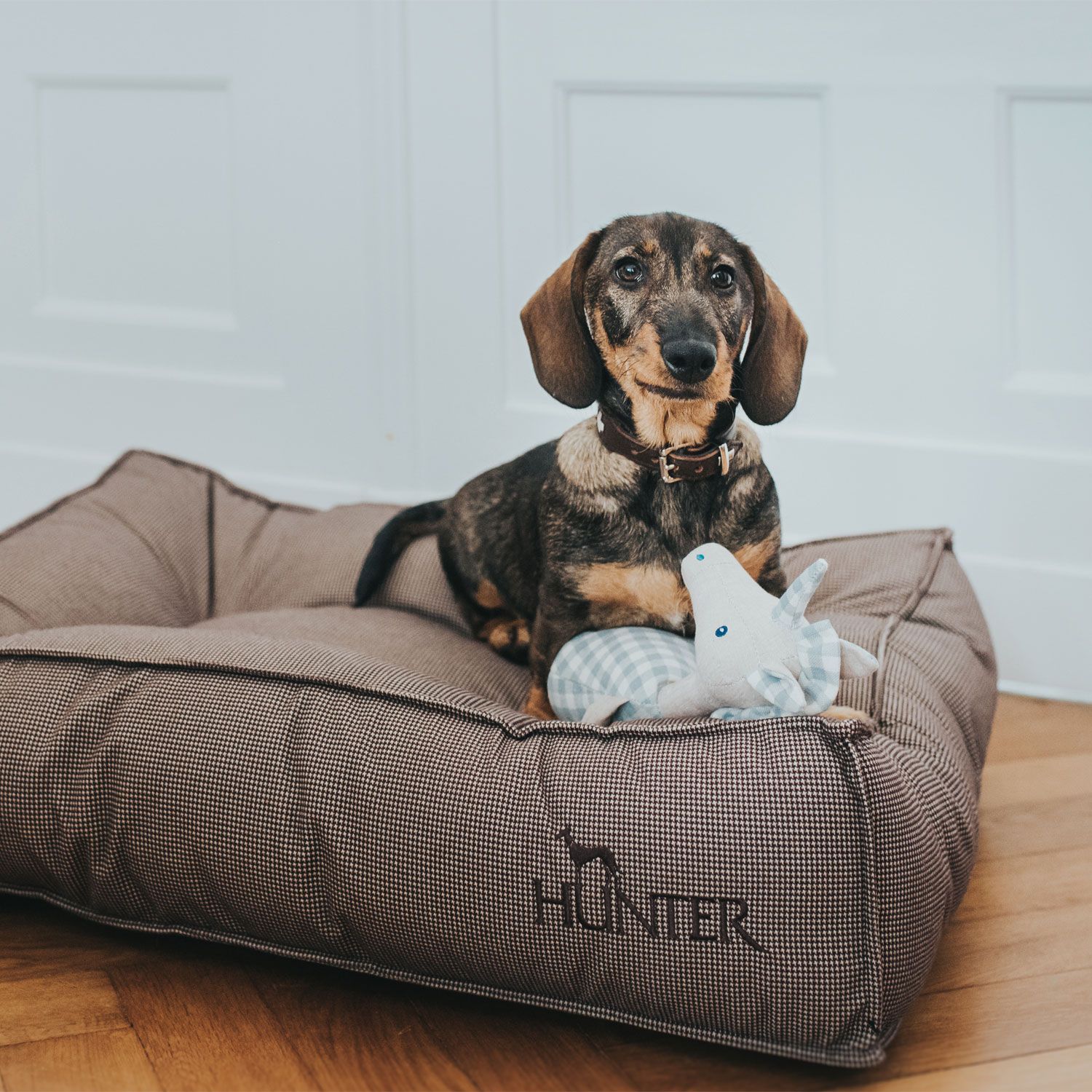 Hunter Hunde-Steppbett Lancaster