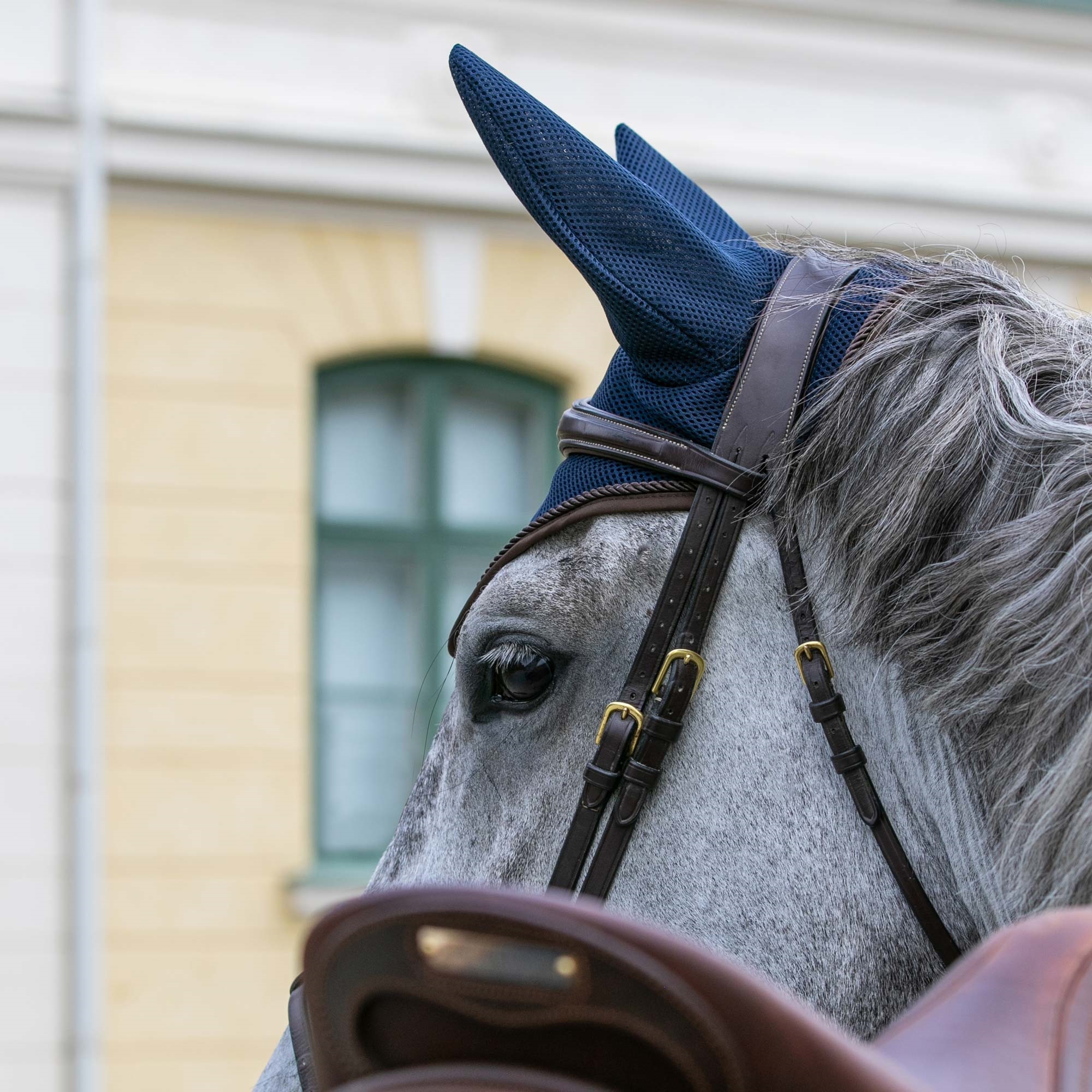 Back on Track Airflow Fliegenhaube, blau, Full