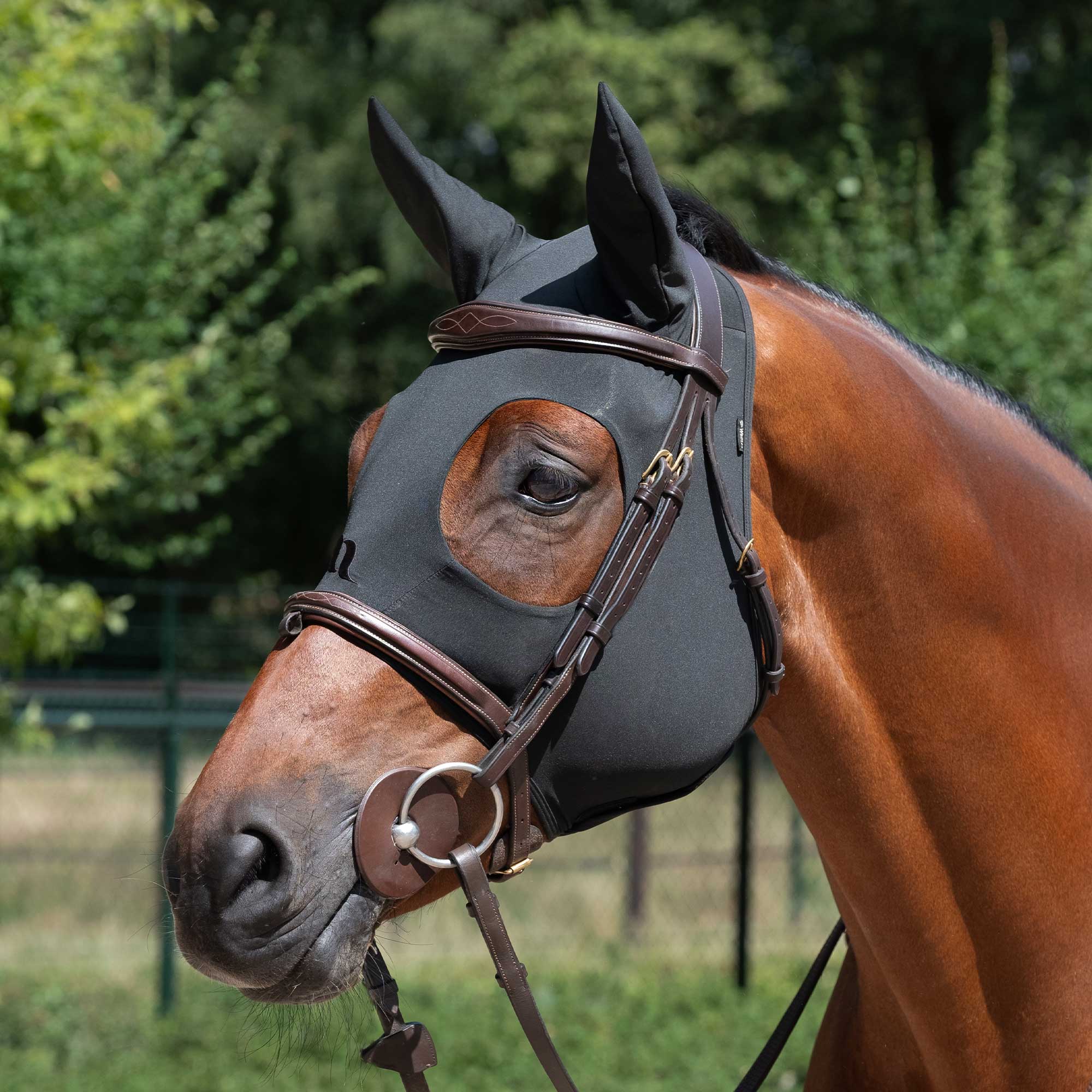 Back on Track "Spirit" Soothing Hood with Ears