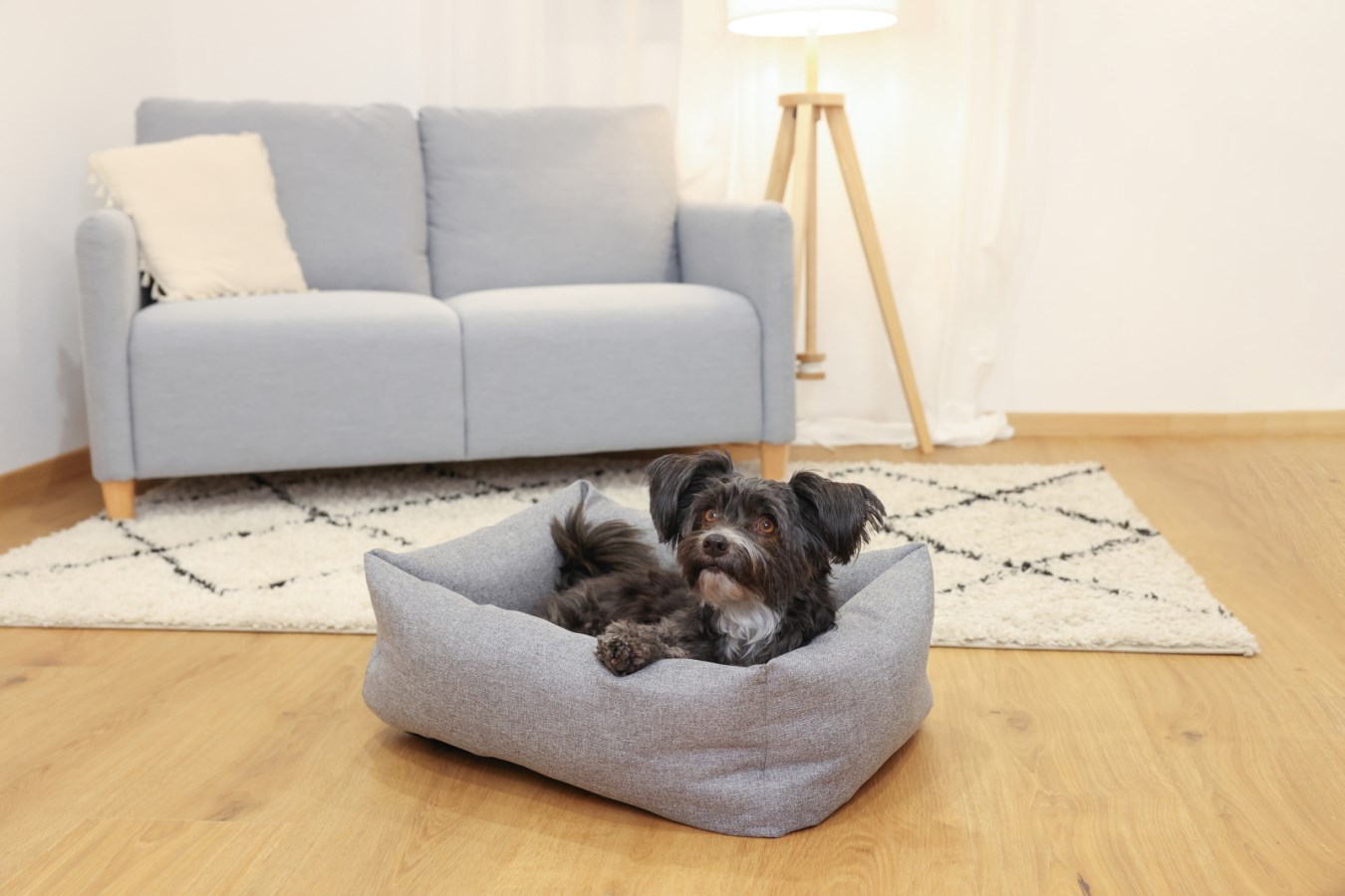 Kerbl Kuschelbett Ely