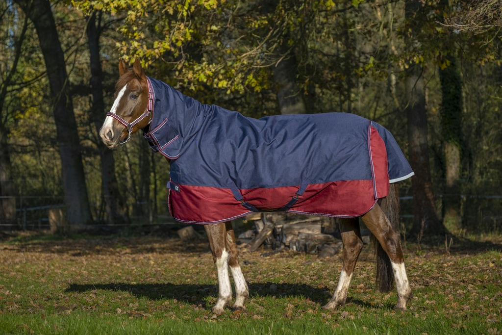 EQUITHÈME "TYREX 1200D" Combo Decke, 200g Füllung, marineblau/bordeaux, Weidedecke, Pferdedecke