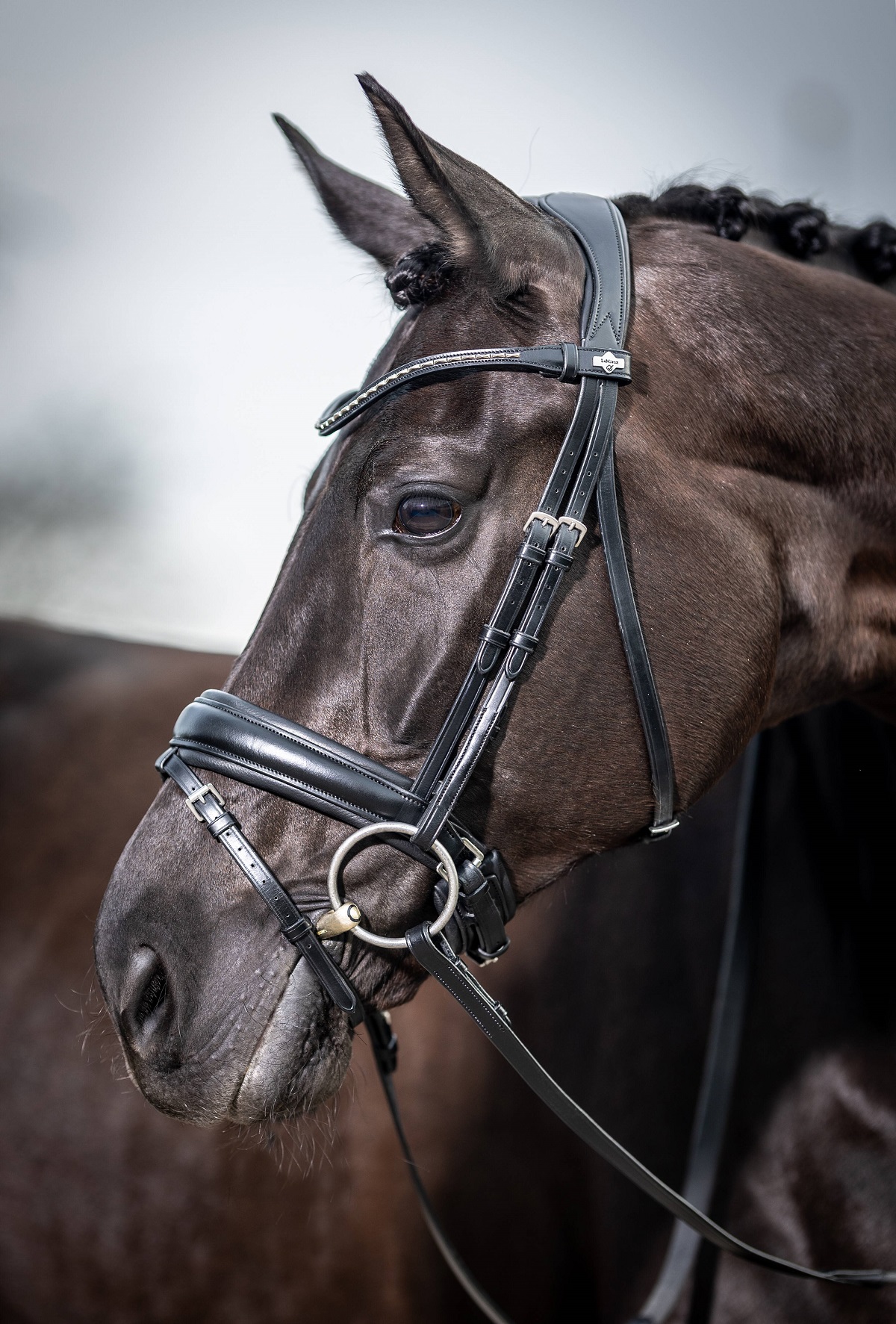 LeMieux Kudos Classic Dressage Bridle, Dressurtrense, Trense