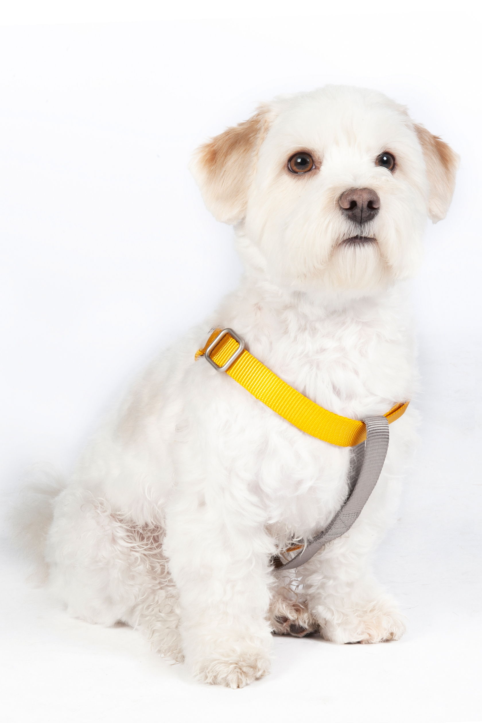 HKM Hundegeschirr, Step-In "Anam Cara", Nylon