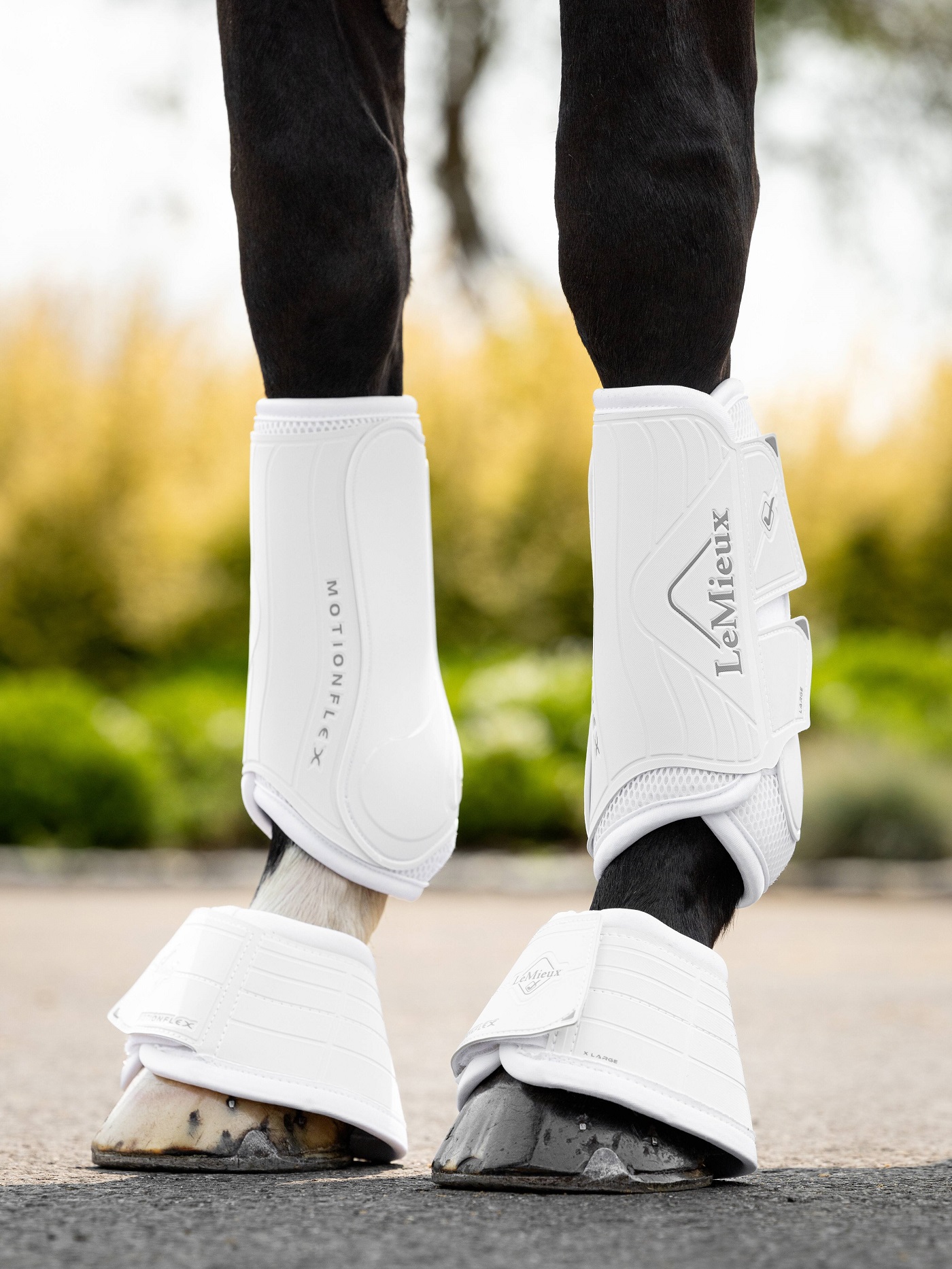 LeMieux Motionflex Dressage Boot, Dressurgamaschen, Gamaschen