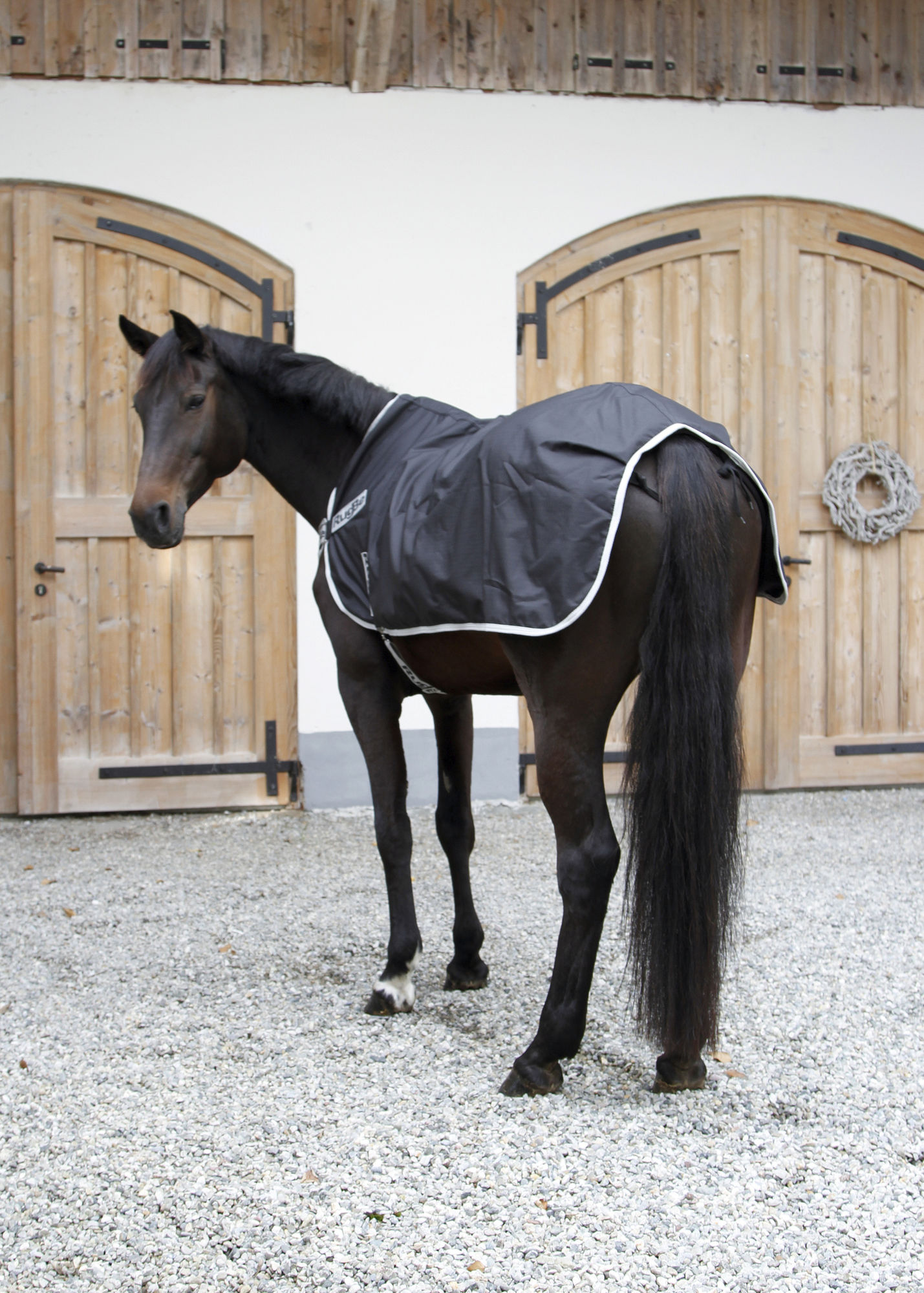 Covalliero Führanlagendecke RugBe schwarz