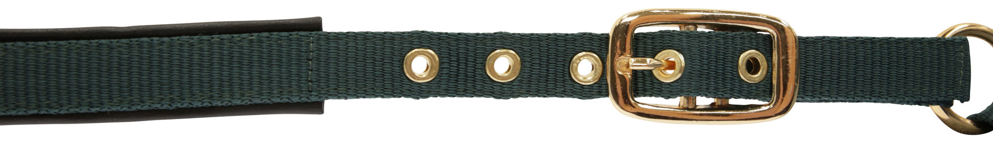 Covalliero Fohlenhalfter TopLine