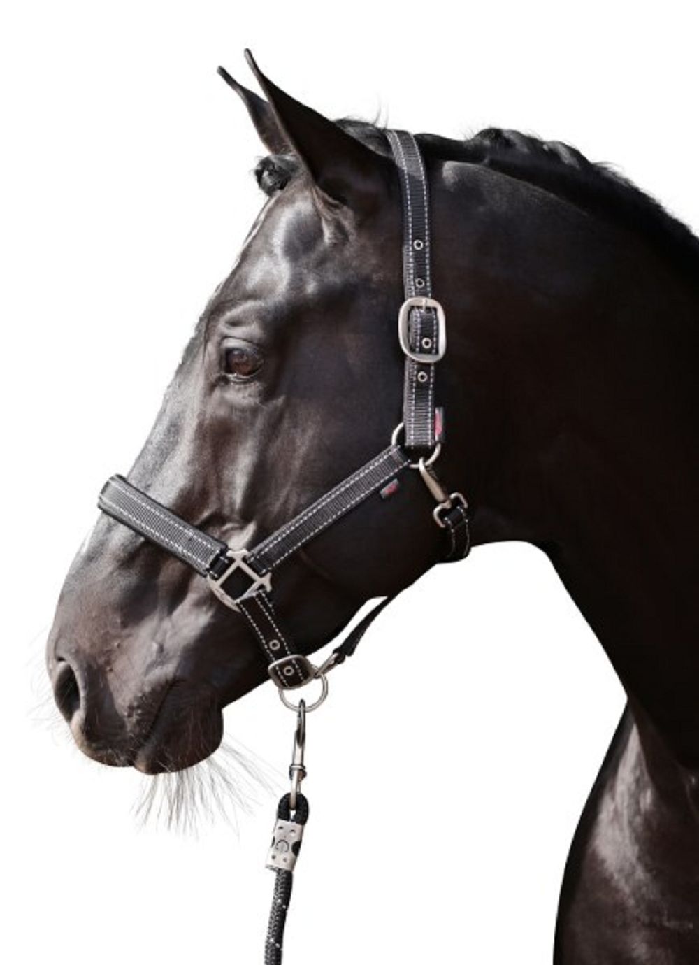 Covalliero Führstrick Reflective schwarz-