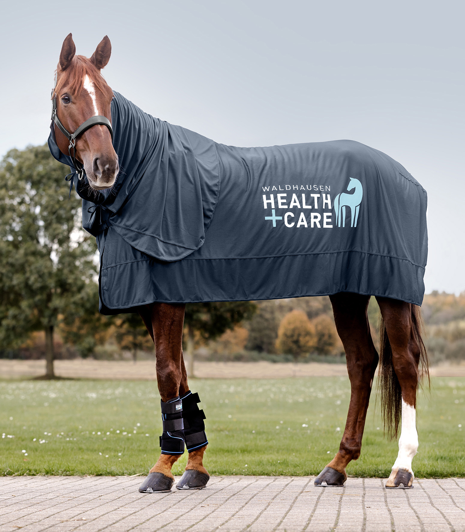 Waldhausen Health + Care Ice-Layer Gamaschen, Paar