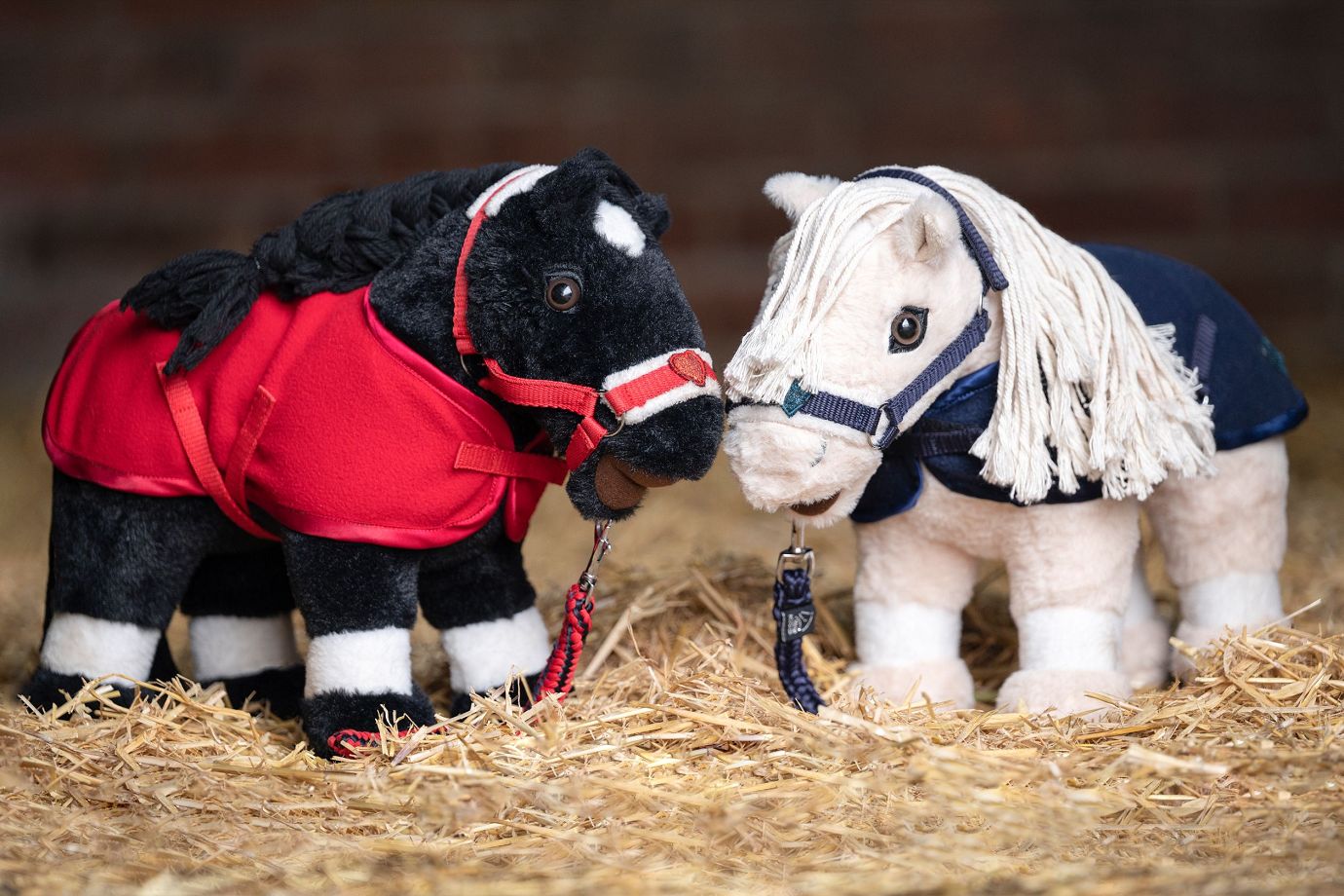 HKM Starterset Cuddle Pony verschiedene Farben