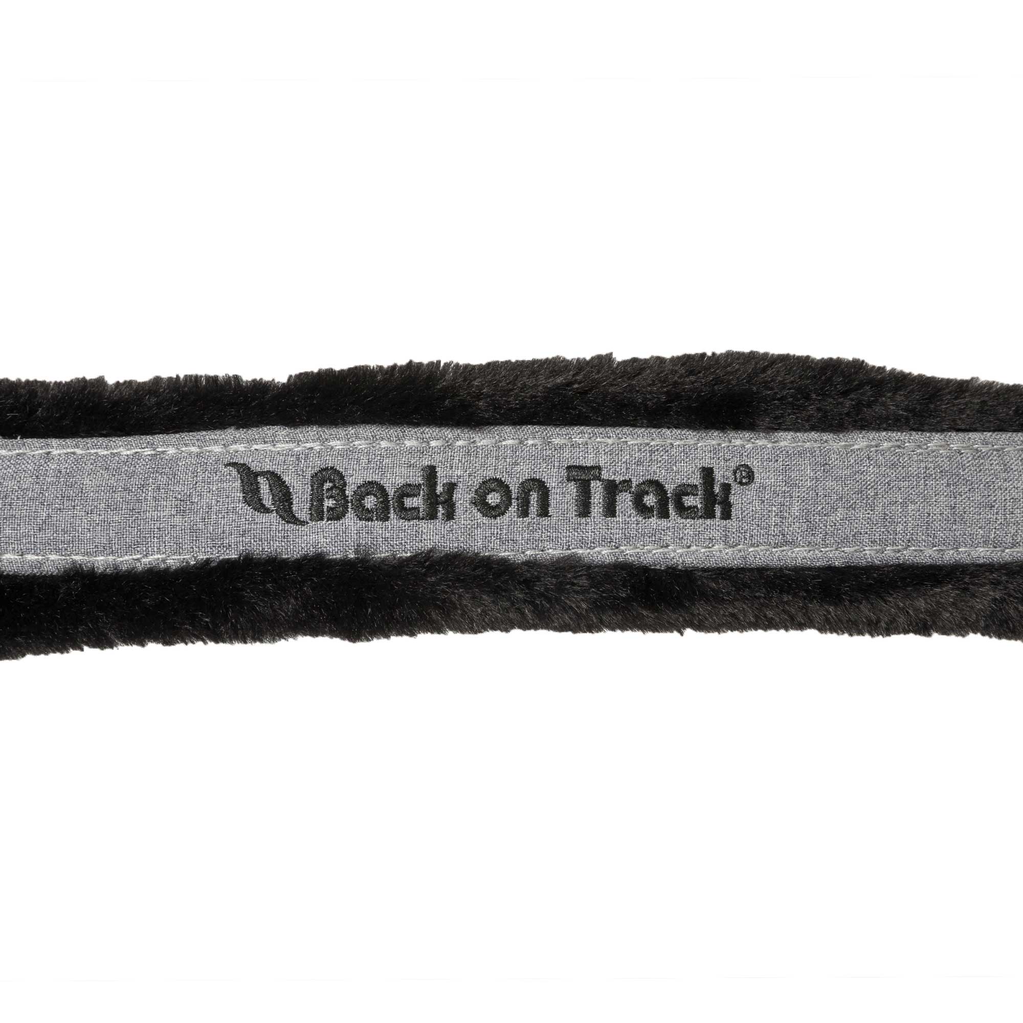 Back on Track Haze Collection Halfter