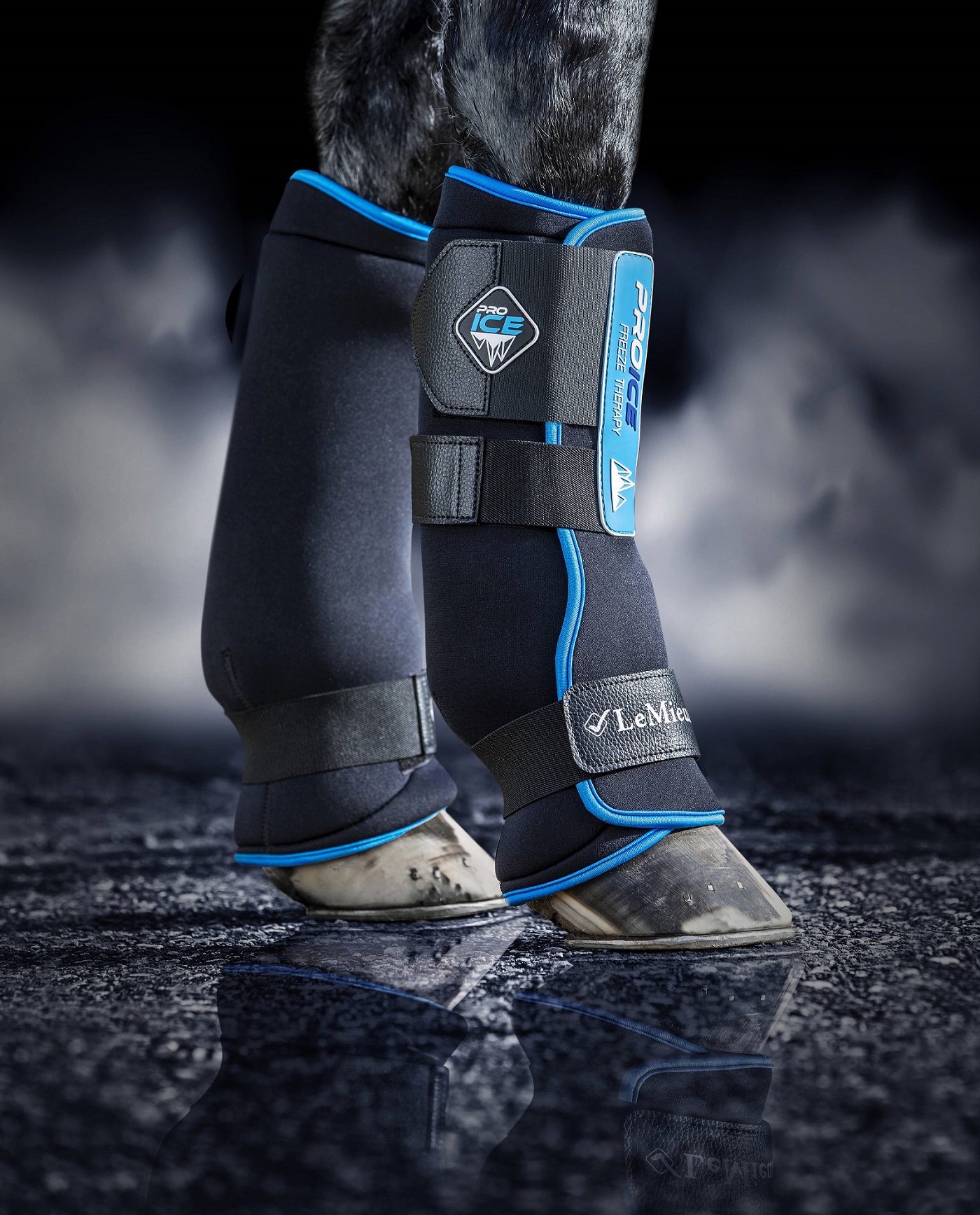 LeMieux ProIce Freeze Boots, Kühlgamaschen, schwarz