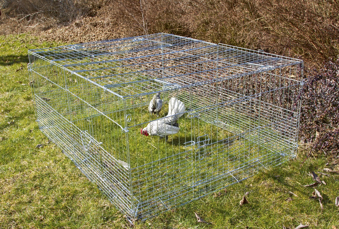 Kerbl Jungtier-Freilaufgehege mit Ausbruchssperre, 144 x 112 x 60 cm, Metall verzinkt