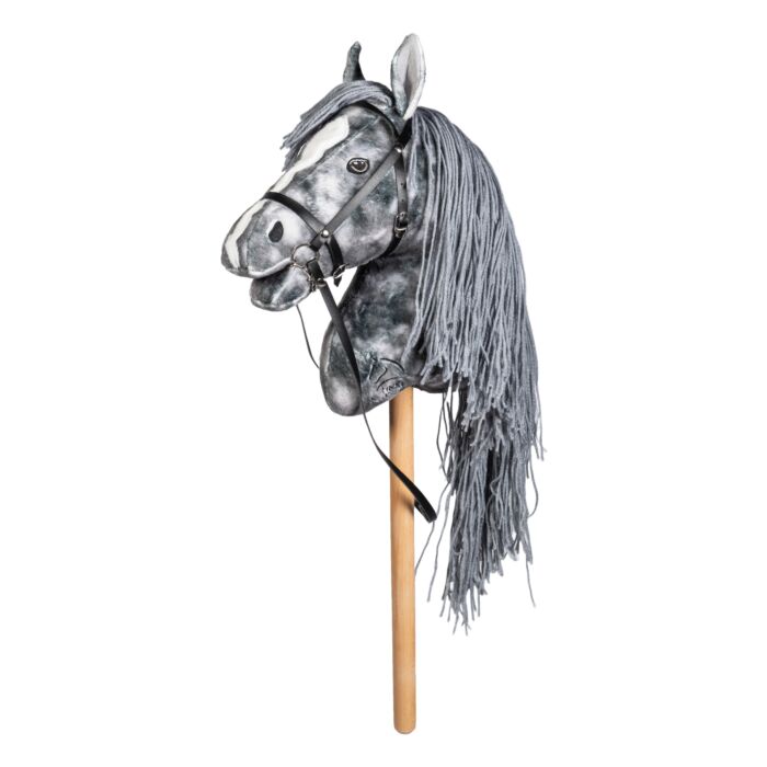 HKM Hobby Horse Set,Malbuch und Hobby Horses Steckenpferde "Deluxe"