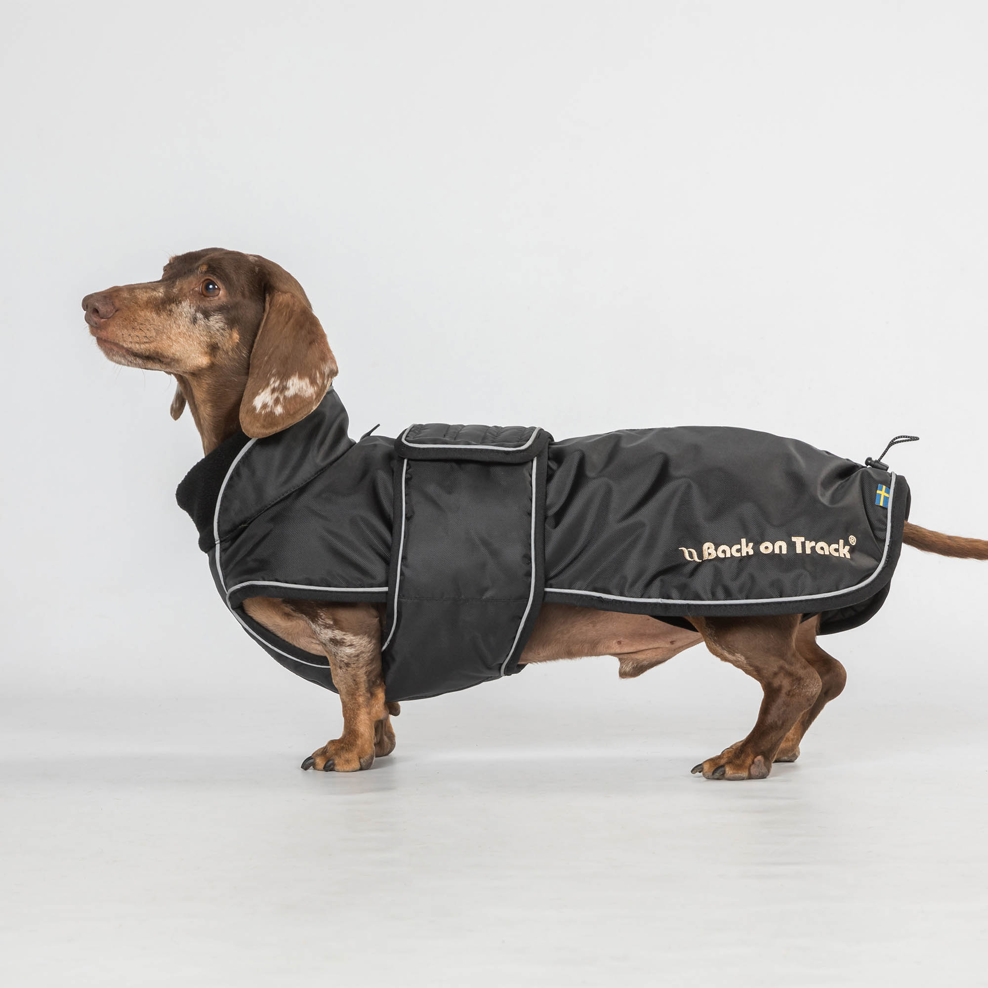 Back on Track Buddy Hundemantel