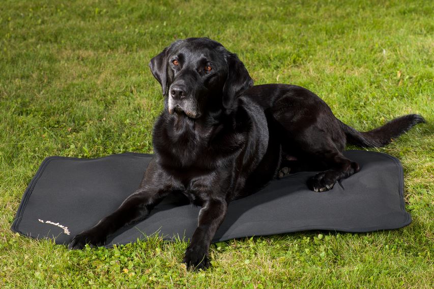 Back on Track Hundematratze Cage Fit