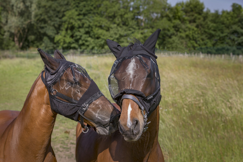 EQUITHÈME "2in1" Antifliegenmaske