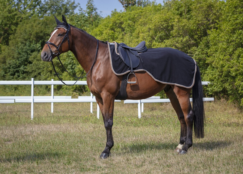 EQUITHÈME "Polyfun" Polarfleece, Nierendecke, Ausreitdecke