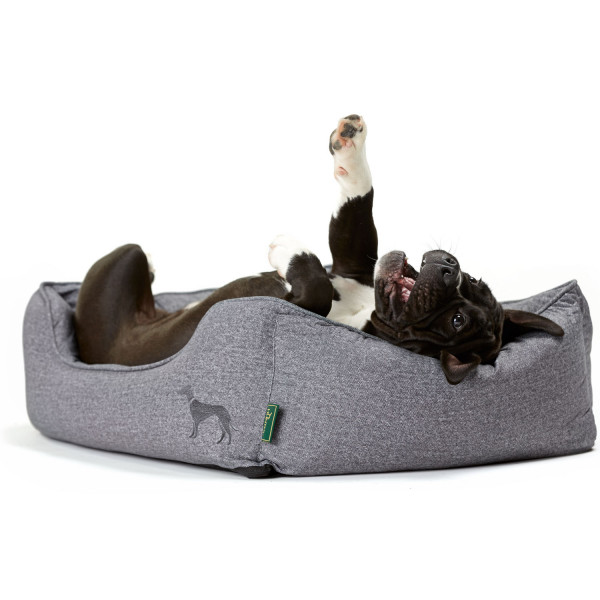 Hunter Hundesofa Boston