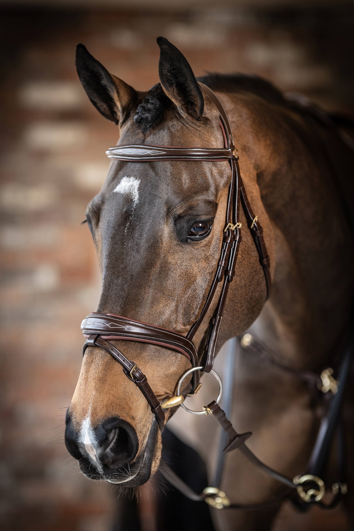 LeMieux Kudos Competition Flash Bridle, Turniertrense, Trense