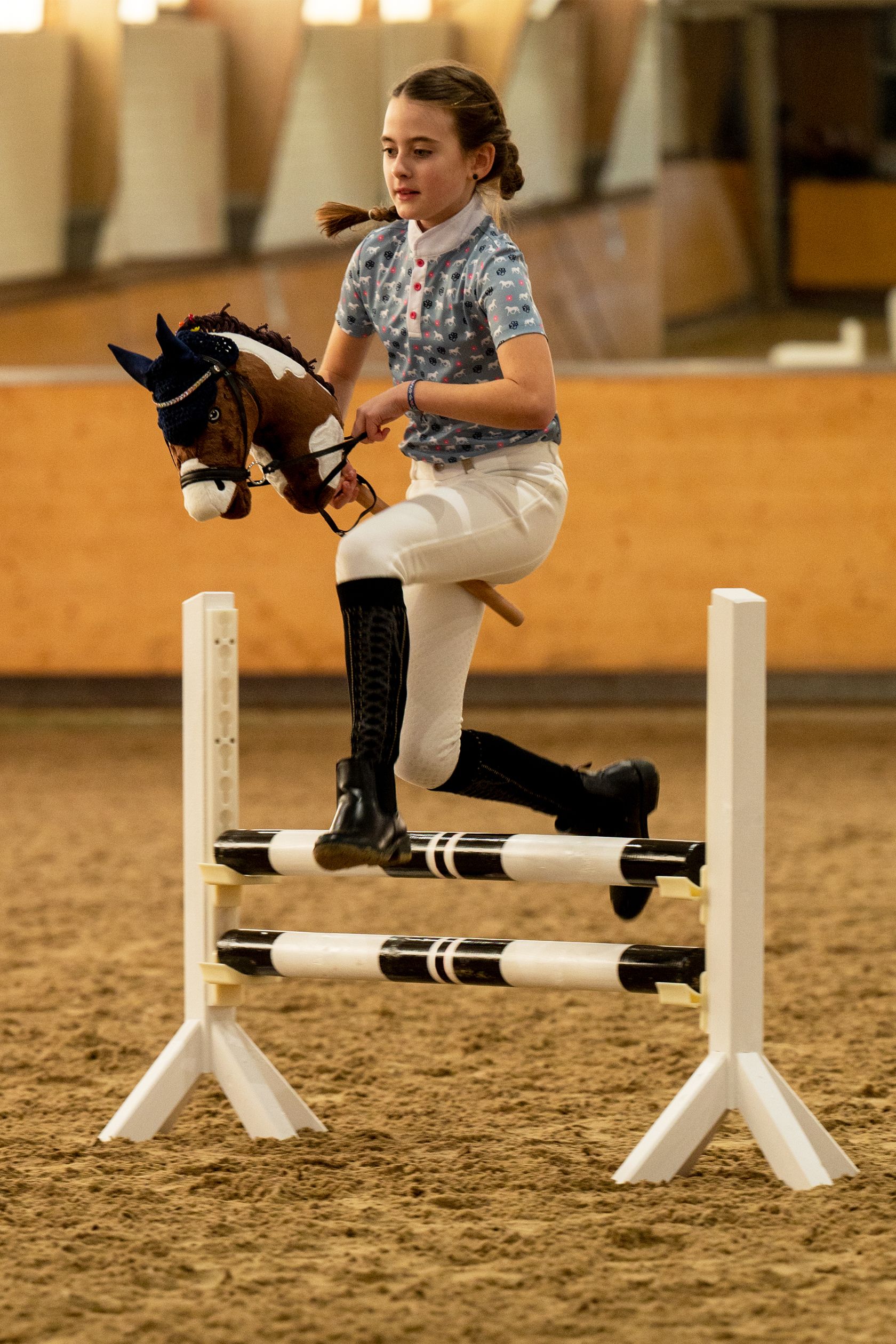 Hobby Horses Steckenpferde "Deluxe" , verschiedene Farben