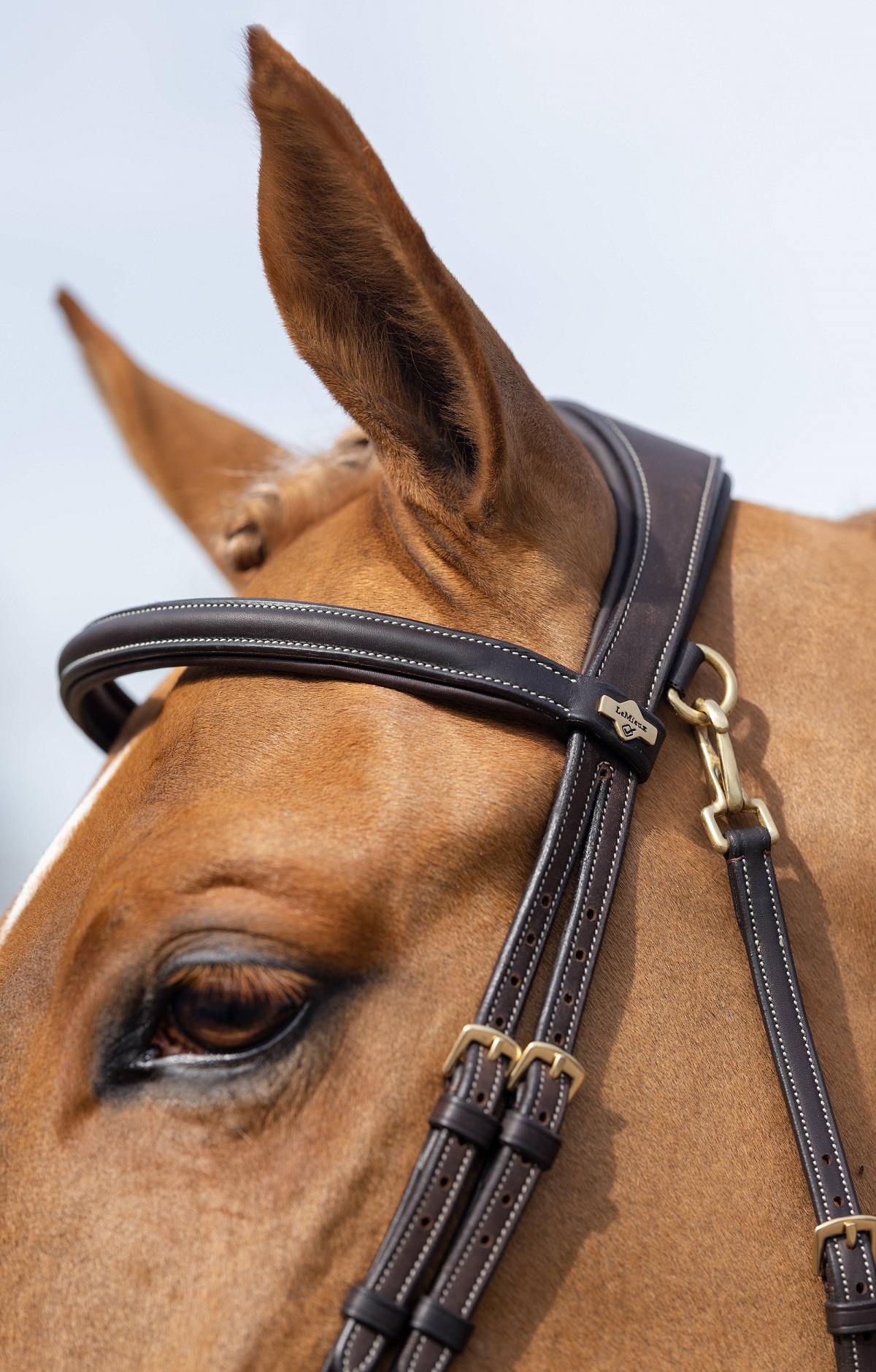 LeMieux Work Bridle, Arbeitstrense, Trense