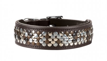 Hunter Halsband Arizona