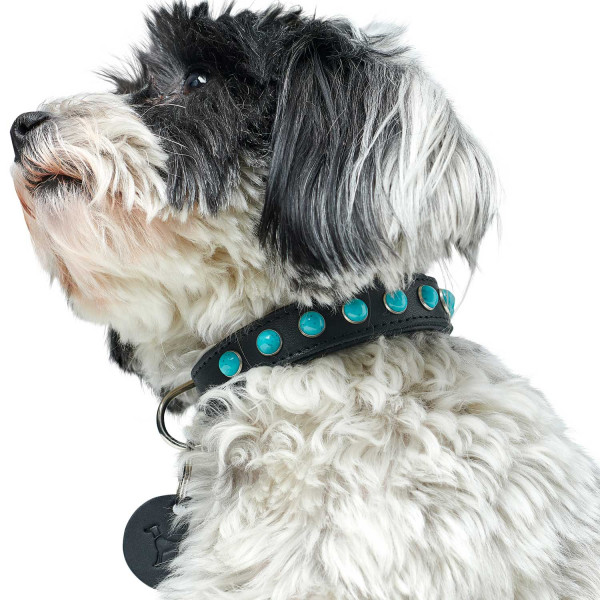 Hunter Halsband Modica, schwarz