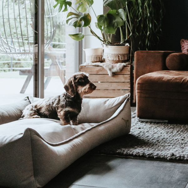 Hunter Orthopädisches Hundesofa Merida