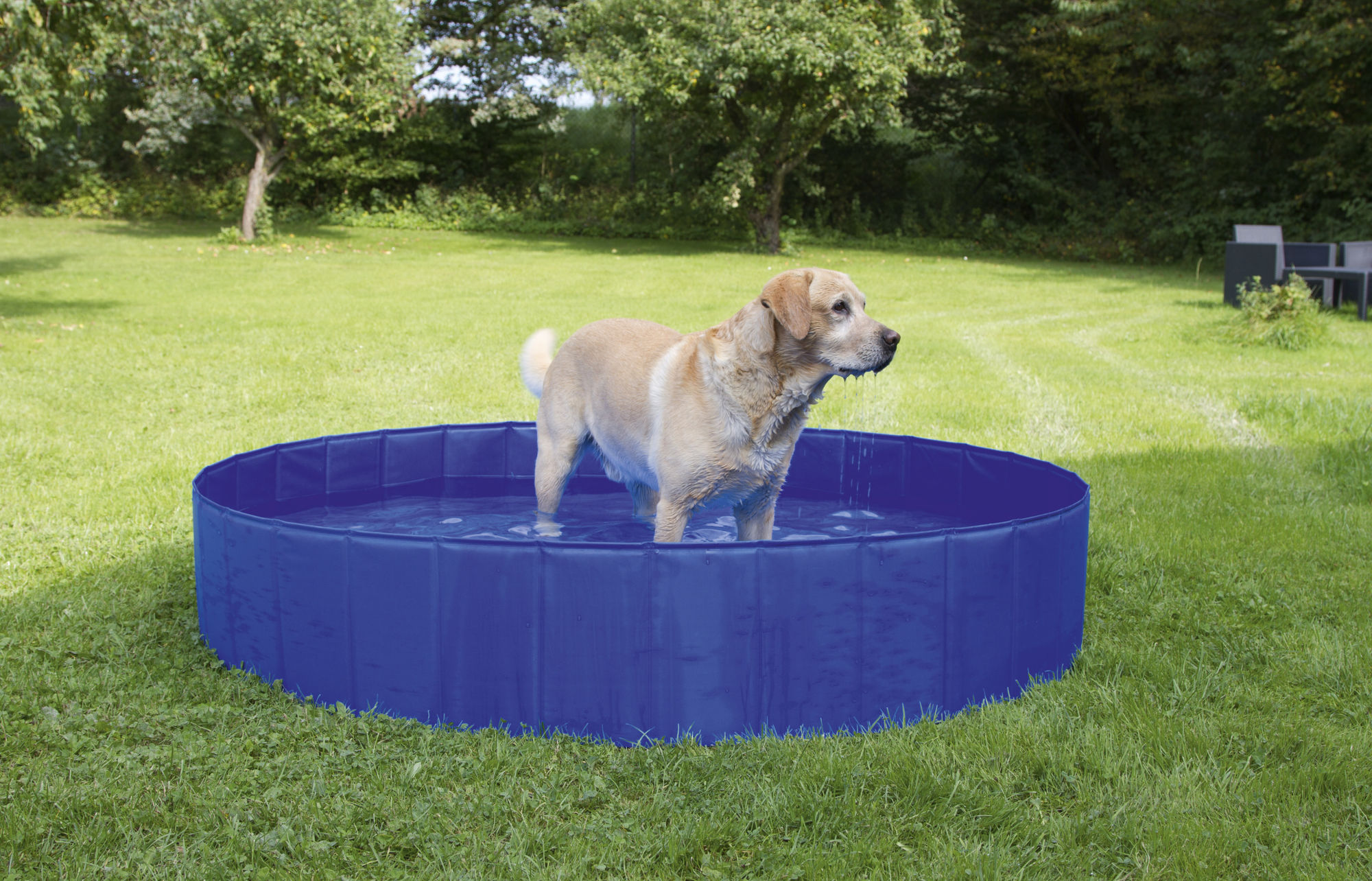 Kerbl Hundepool, blau