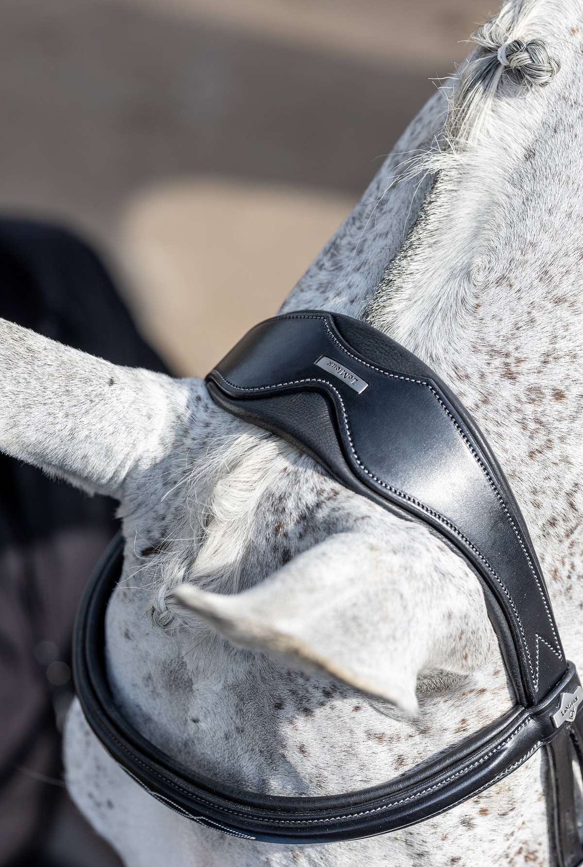 LeMieux Kudos Competition Flash Bridle, Turniertrense, Trense
