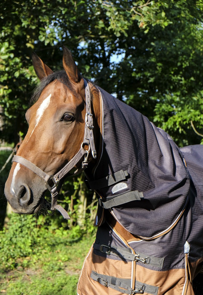EQUITHÈME TYREX 600D "Aisance" Halsteil, grau/braun, 200g Füllung