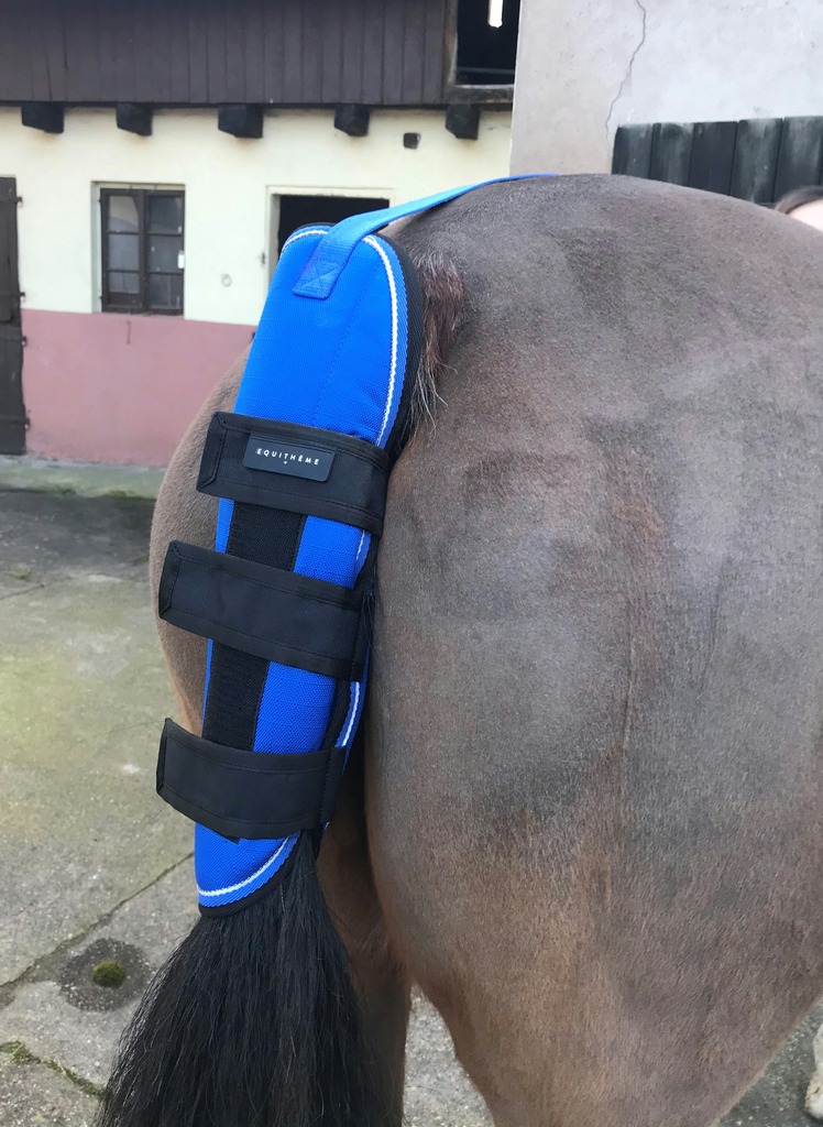 EQUITHÈME "TYREX 1200D" Schweifschoner, blau/schwarz, Warmblut
