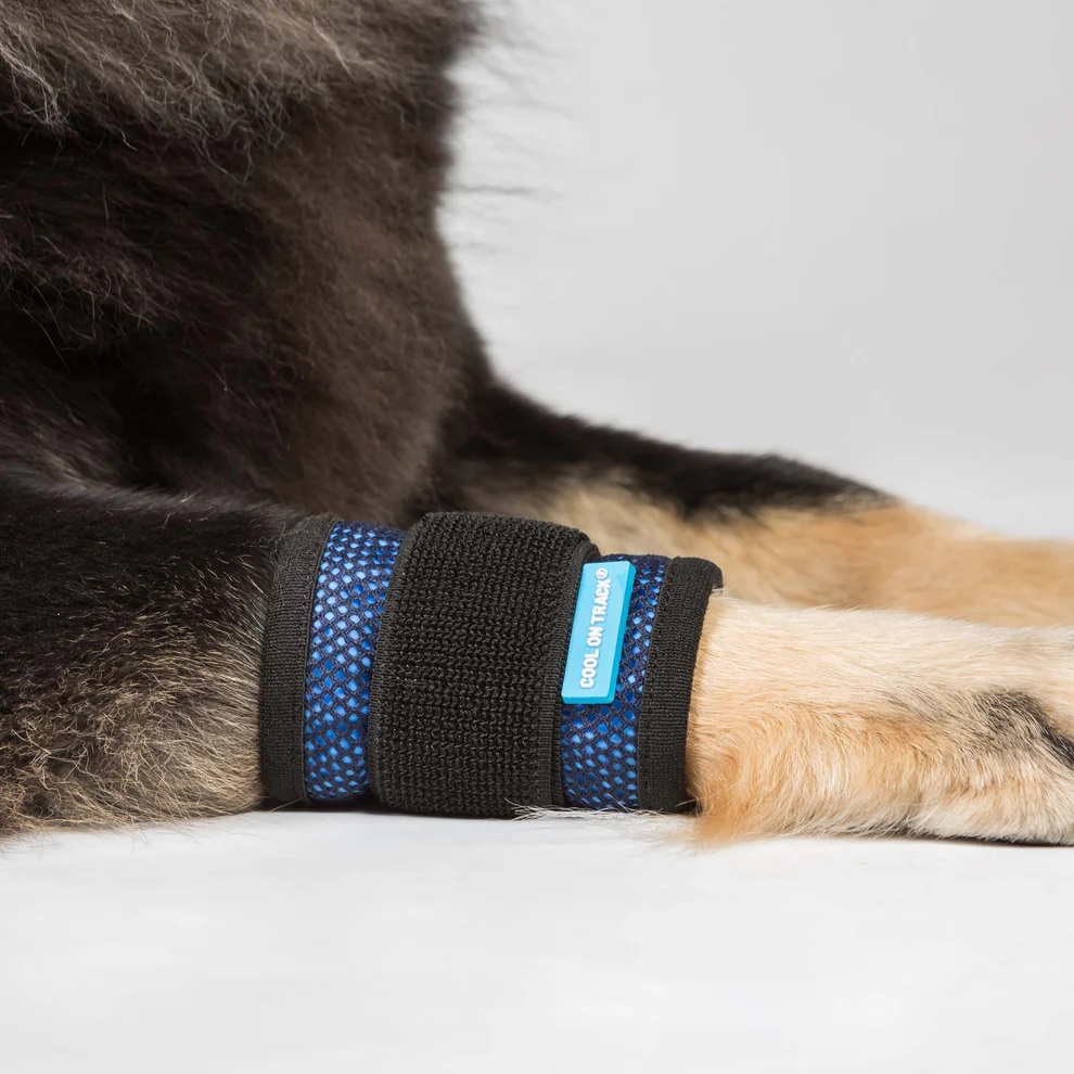 Back on Track Cool on Track® Kühl-Bandage