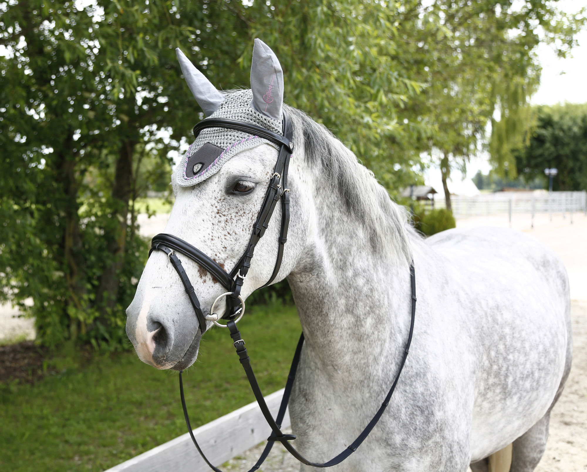 Covalliero Fliegenhaube Tampa, Full