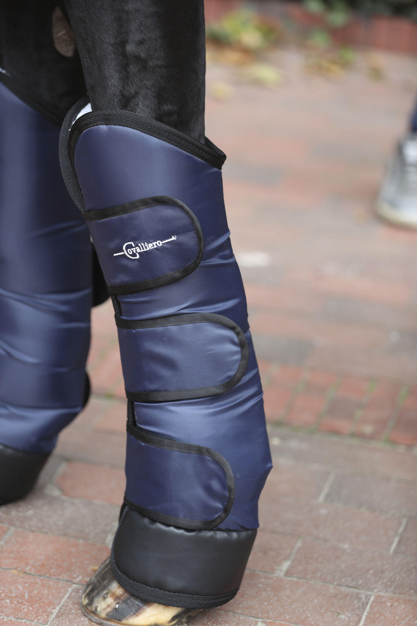 Covalliero Transportgamaschen Dexter, 4er-Set, dunkelblau
