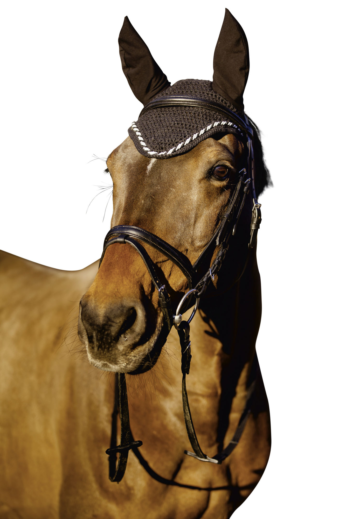 Covalliero Fliegenhaube Classic, Full