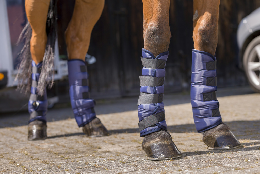 Riding World Niedrige Transportgamaschen, Warmblut