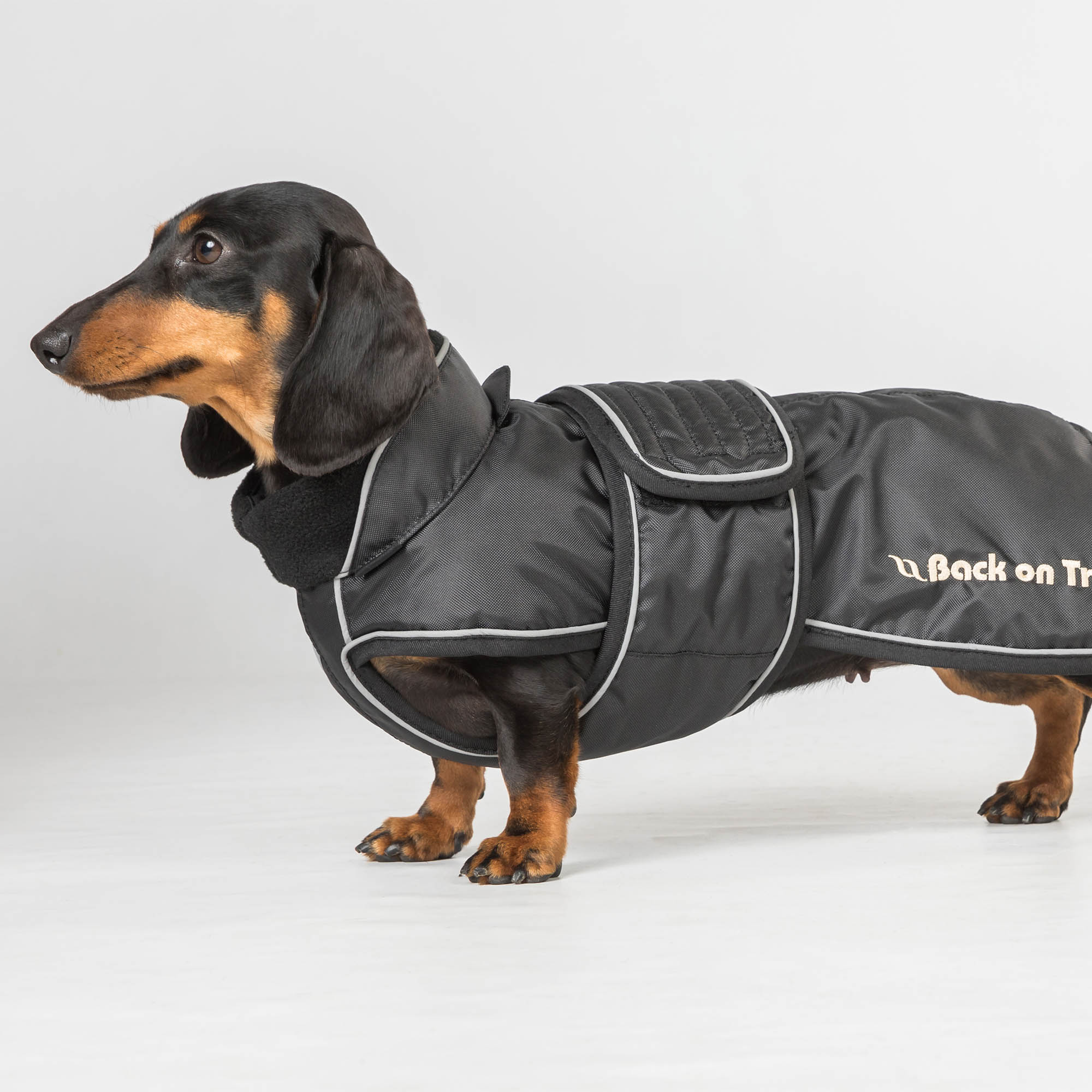 Back on Track Buddy Hundemantel