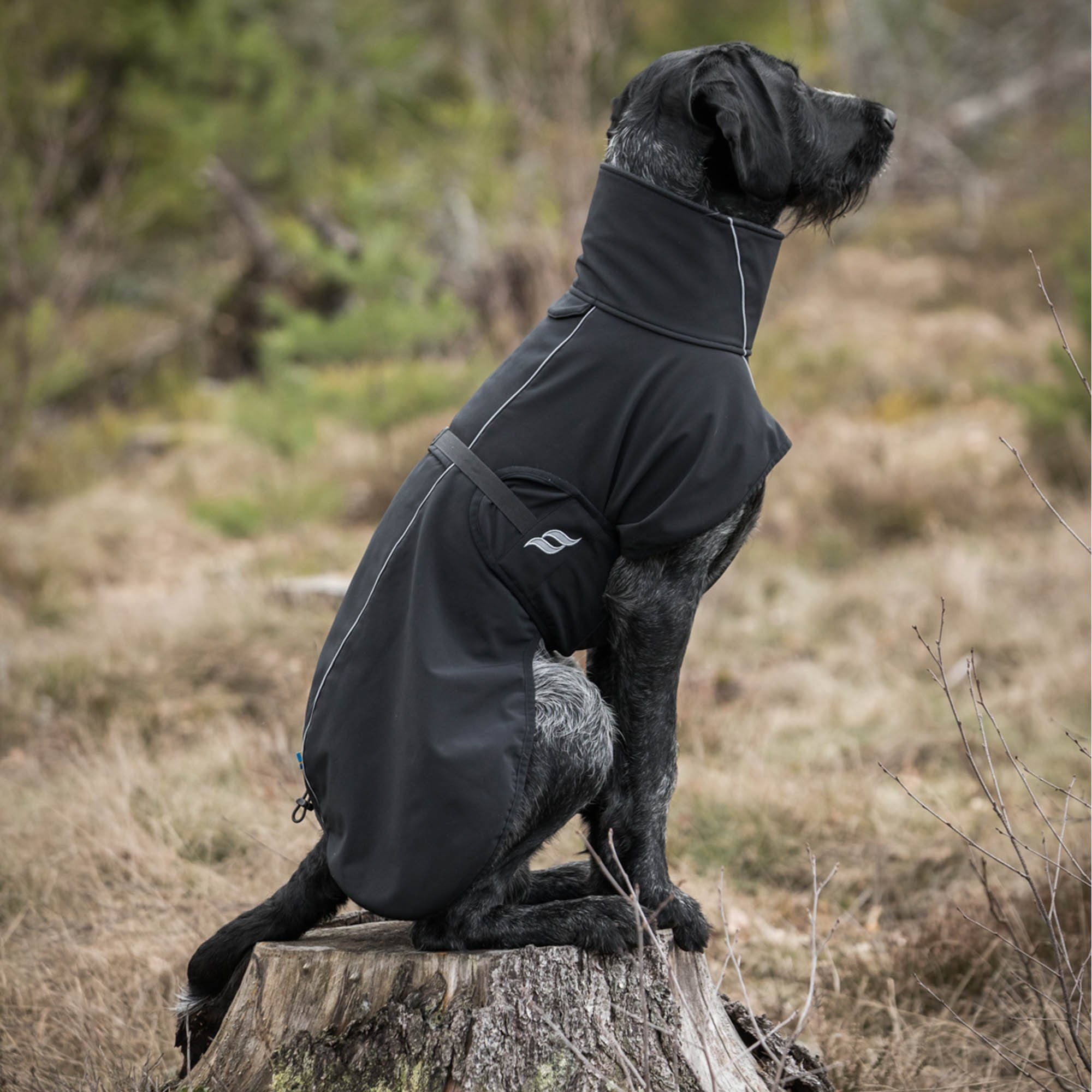 Back on Track Hundemantel Bark, schwarz, Allround Mantel