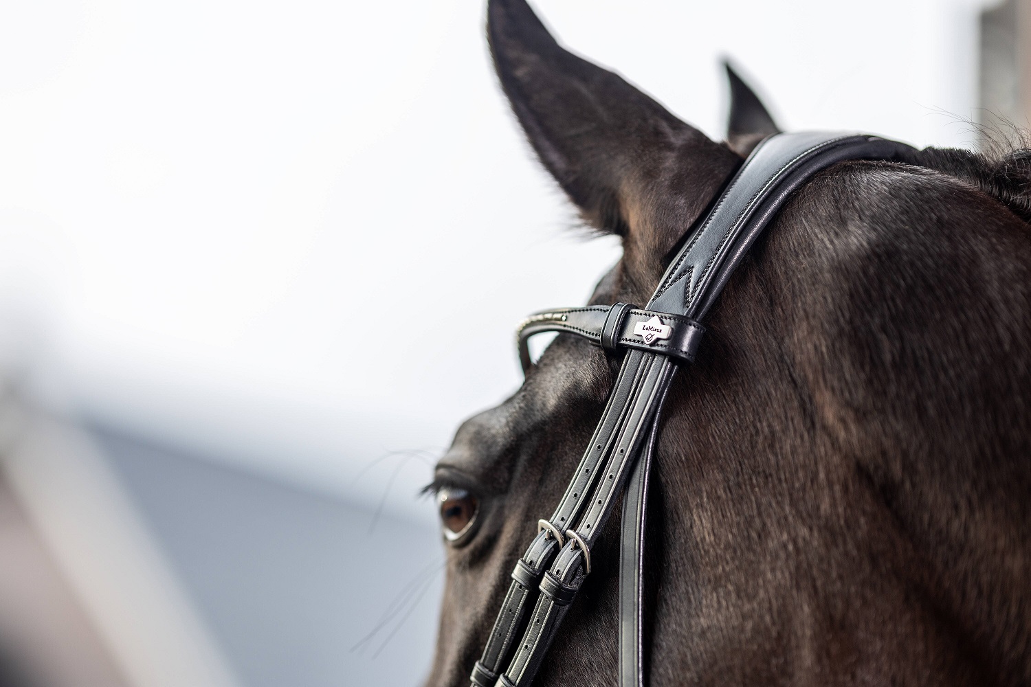 LeMieux Kudos Classic Dressage Bridle, Dressurtrense, Trense
