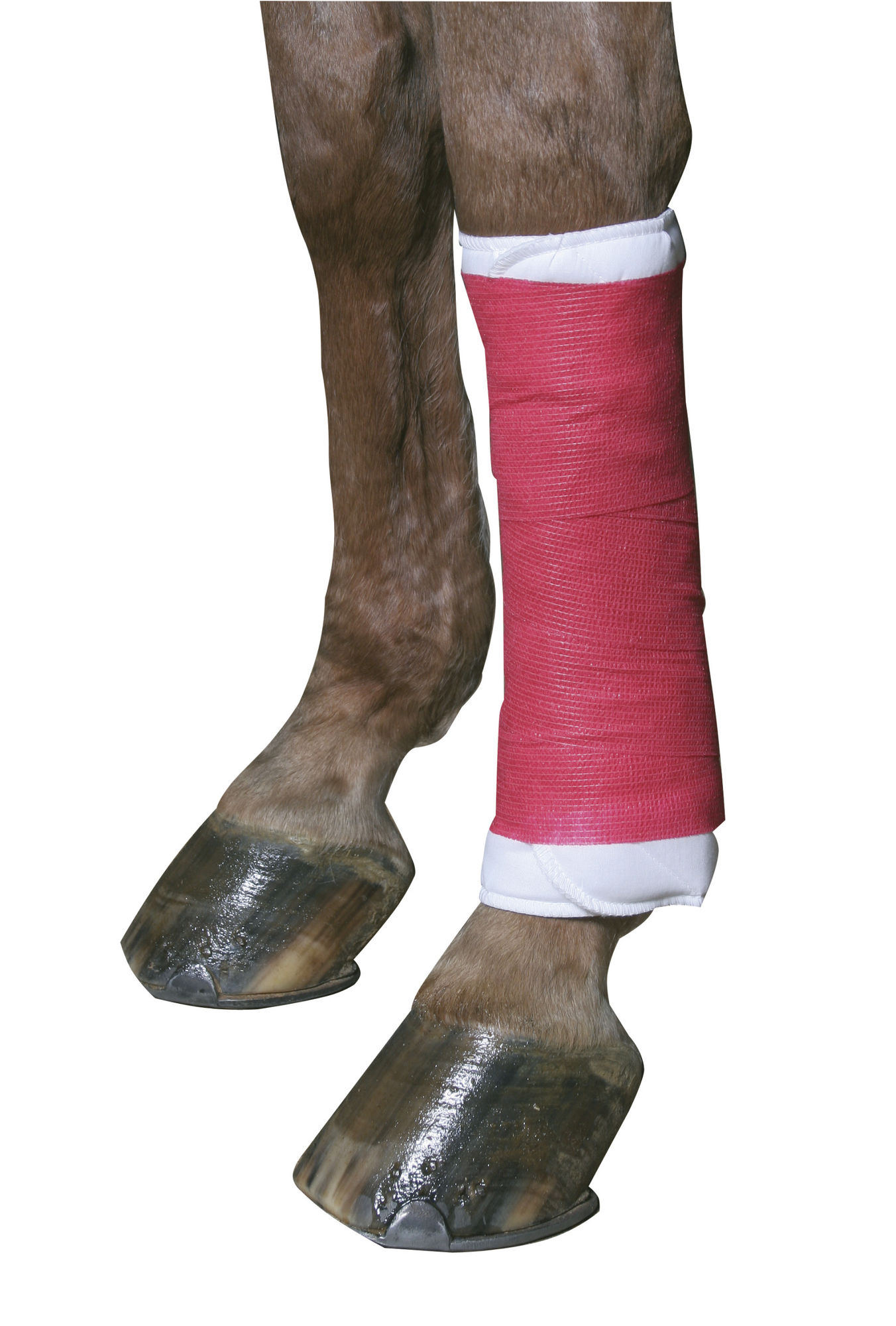 EquiLastic Selbsthaftende Bandagen