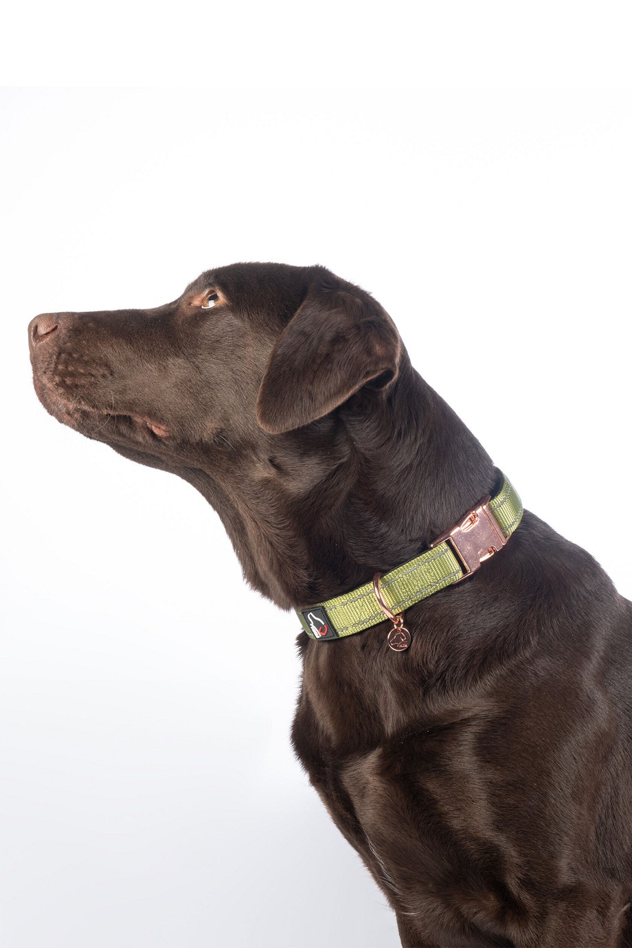 HKM Hundehalsband "Ida" Nylon,pistazie, S/M,Sale