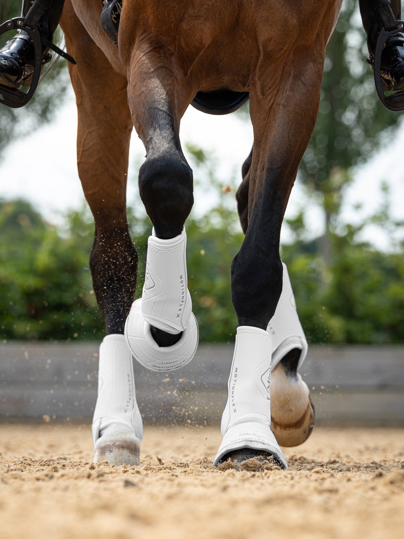 LeMieux Motionflex Dressage Boot, Dressurgamaschen, Gamaschen