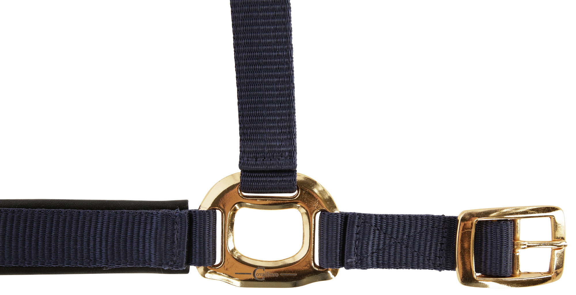 Covalliero Halfter TopLine