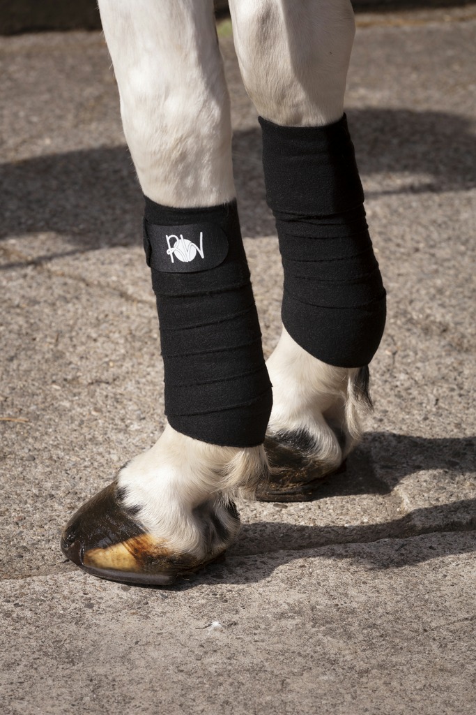RIDING WORLD doppelseitige Polobandagen, 3 m