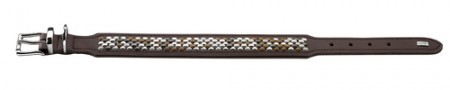 Hunter Halsband Arizona
