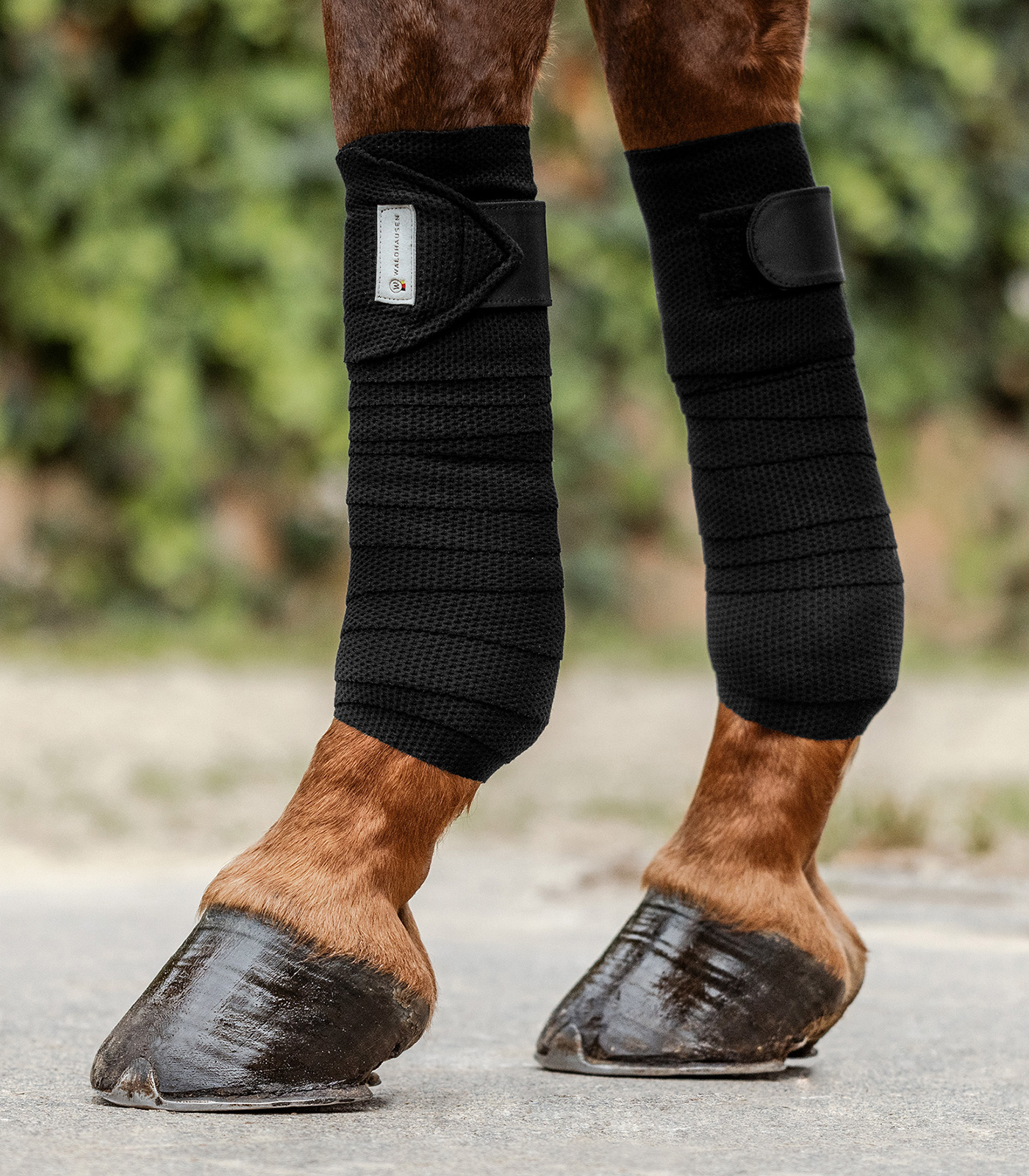 Waldhausen Bandagen Breath