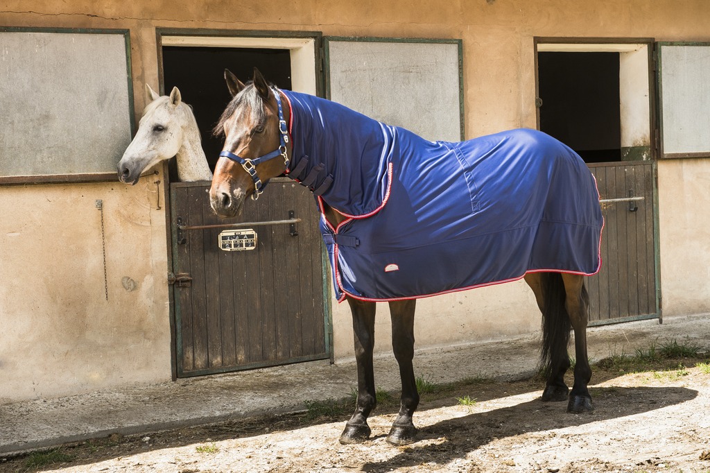 EQUITHÈME "Microfleece", Combo Decke, Pferdedecke, mit Halsteil, marineblau/weiß