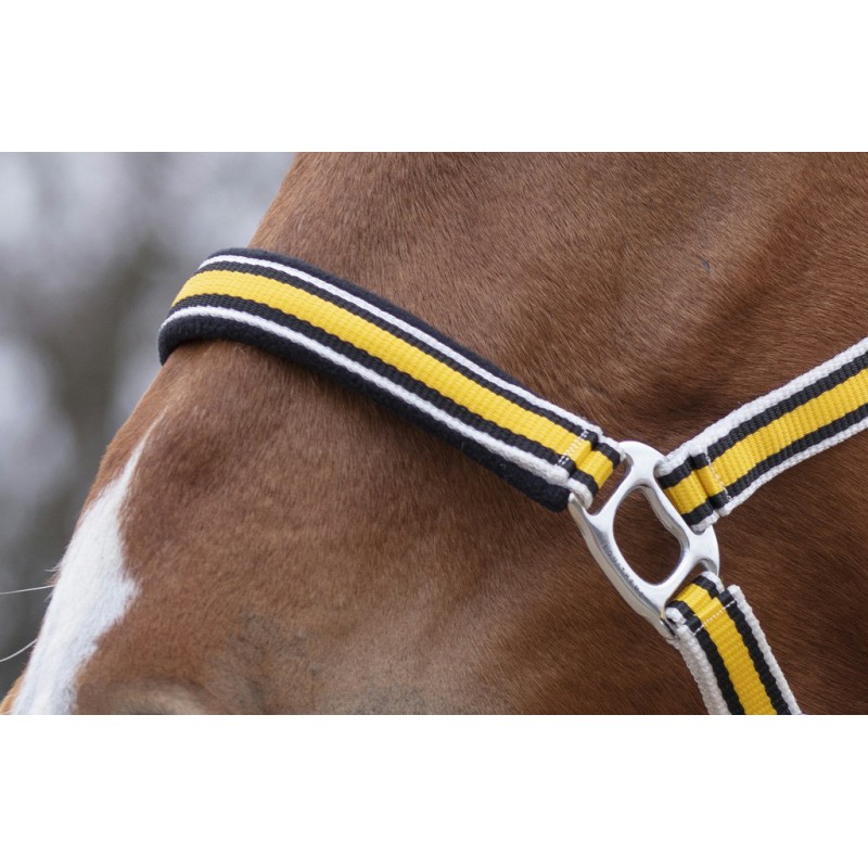 EQUITHÈME "Ligne" Halfter